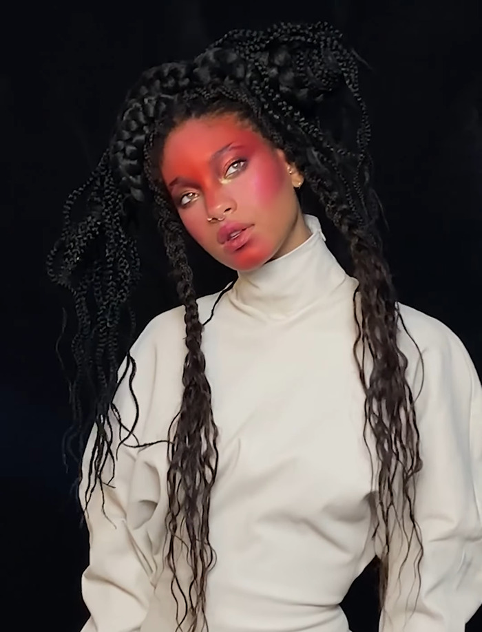 “Definitely Because Of Her Parents”: People Stunned Willow Smith Claims She’s Not A “Nepo Baby” “Definitely Because Of Her Parents”: People Stunned Willow Smith Claims She’s Not A “Nepo Baby”