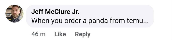 Outrage After Zoo’s Panda Exhibit Turns Out To Be Dogs Dyed Black And White Outrage After Zoo’s Panda Exhibit Turns Out To Be Dogs Dyed Black And White
