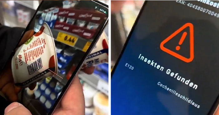 Americans Are Freaking Out After Finding A German App That Tells You If Food Contains Insects