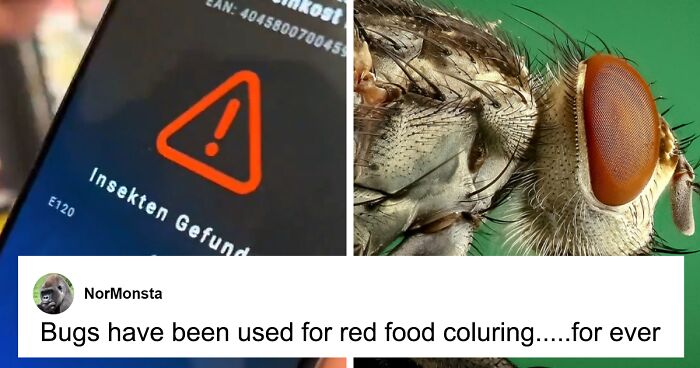 People Are Freaking Out About Insect Ingredients In Their Food After App Goes Viral