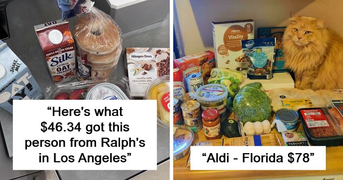 People From The USA And Other Countries Share How Much They Spend On Groceries In 2024 (80 New Pics)