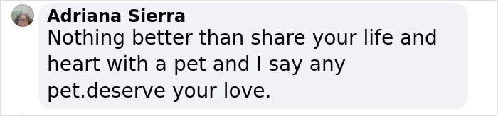 “I’m Gonna Go Cry”: Man’s Photo Recreation With Late Childhood Cat Has The Internet Tearing Up “I’m Gonna Go Cry”: Man’s Photo Recreation With Late Childhood Cat Has The Internet Tearing Up