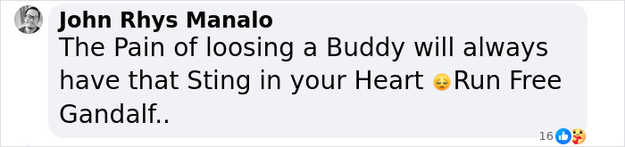 “I’m Gonna Go Cry”: Man’s Photo Recreation With Late Childhood Cat Has The Internet Tearing Up “I’m Gonna Go Cry”: Man’s Photo Recreation With Late Childhood Cat Has The Internet Tearing Up