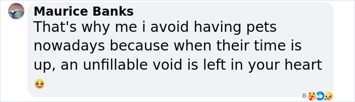 “I’m Gonna Go Cry”: Man’s Photo Recreation With Late Childhood Cat Has The Internet Tearing Up “I’m Gonna Go Cry”: Man’s Photo Recreation With Late Childhood Cat Has The Internet Tearing Up
