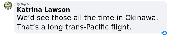 Michael Sanchez Made Birding History With His Photos Of Rare Blue Rock Thrush Michael Sanchez Made Birding History With His Photos Of Rare Blue Rock Thrush