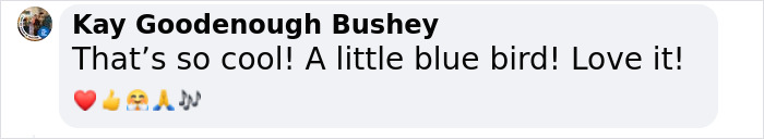 Michael Sanchez Made Birding History With His Photos Of Rare Blue Rock Thrush Michael Sanchez Made Birding History With His Photos Of Rare Blue Rock Thrush