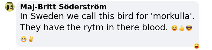 American Woodcock Becomes Internet’s Favorite With Its Weird Way Of Walking American Woodcock Becomes Internet’s Favorite With Its Weird Way Of Walking