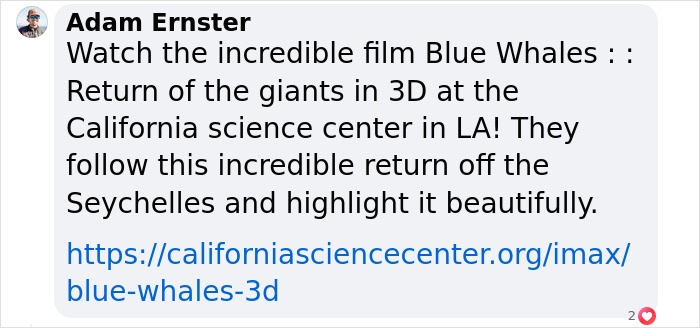Blue Whales Returned To Seychelles: Scientists Recorded 23 Species During Their Surveys Blue Whales Returned To Seychelles: Scientists Recorded 23 Species During Their Surveys