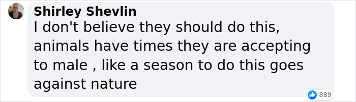 World’s First Jaguar Cub Born By Artificial Insemination Was Eaten By Mom, Scientists Persevere World’s First Jaguar Cub Born By Artificial Insemination Was Eaten By Mom, Scientists Persevere