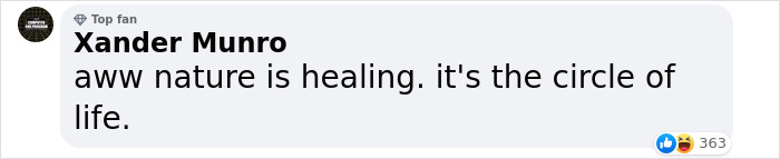 World’s First Jaguar Cub Born By Artificial Insemination Was Eaten By Mom, Scientists Persevere World’s First Jaguar Cub Born By Artificial Insemination Was Eaten By Mom, Scientists Persevere