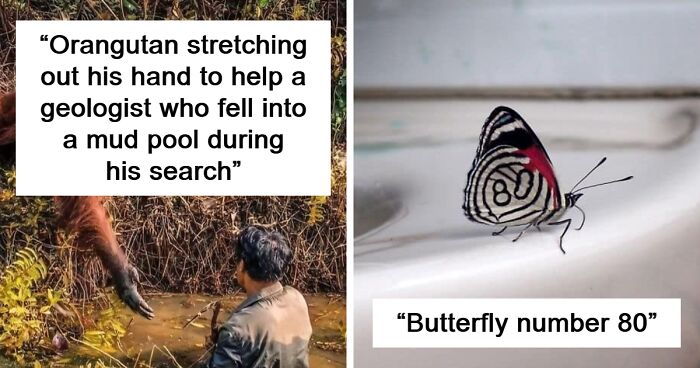 This Group Shares Things That Would Be Hard To Believe Without Pics, Here Are The 80 Best Ones