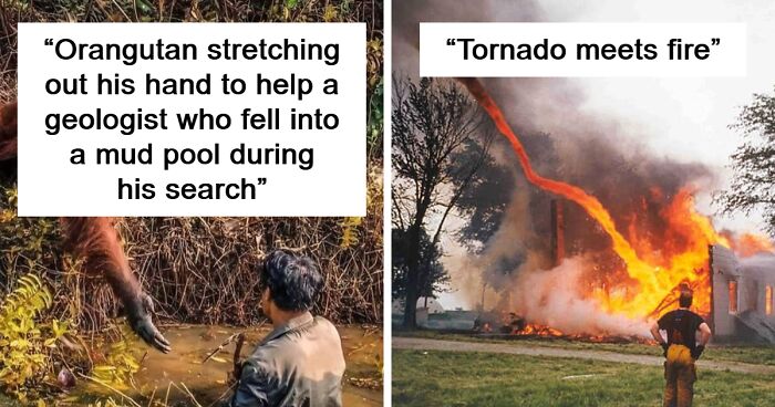 80 “Pics Or It Didn’t Happen” Moments When People Had Images To Back Up Their Impossible Stories