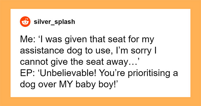 Parent Wants Service Dog Moved For “Baby Boy’s” Window Seat, Gets A Reality Check