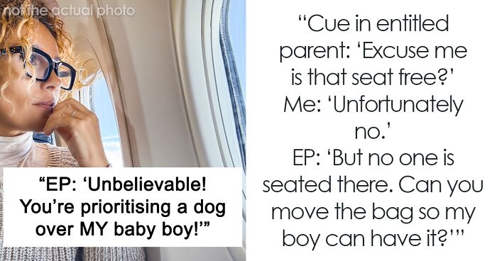 Person Gets A Plane Seat For Their Service Dog, Entitled Parent Sees It As Free Real Estate