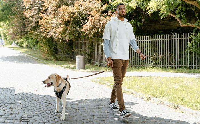 Parent Wants Service Dog Moved For "Baby Boy's" Window Seat, Gets A Reality Check Parent Wants Service Dog Moved For "Baby Boy's" Window Seat, Gets A Reality Check