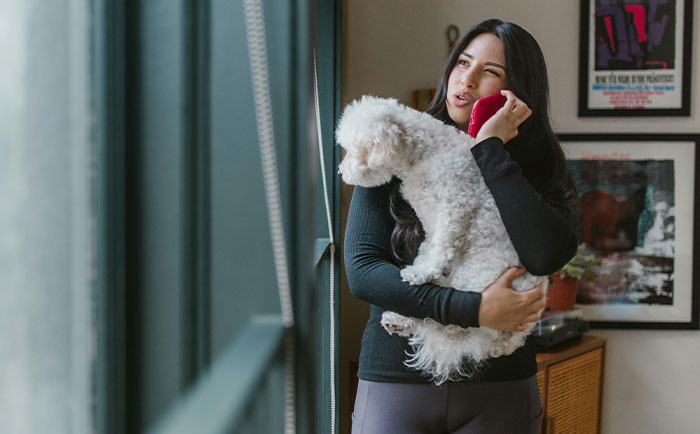 Parent Wants Service Dog Moved For "Baby Boy's" Window Seat, Gets A Reality Check Parent Wants Service Dog Moved For "Baby Boy's" Window Seat, Gets A Reality Check