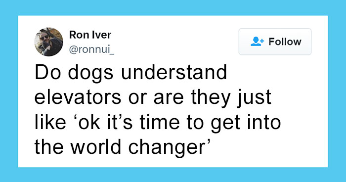 30 Funny Times People On Twitter Got It Right