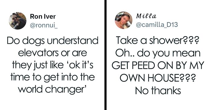 30 Hilariously Relatable Tweets, As Shared On This Online Community