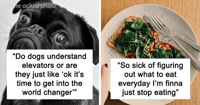 30 Funny And Relatable Posts On X, As Shared By This Online Community