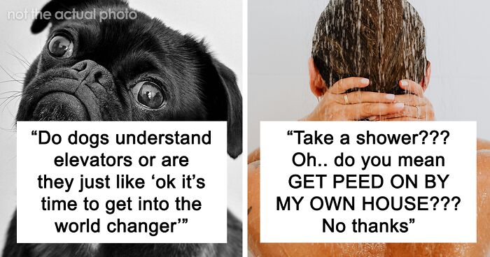 30 Funny And Relatable Posts On X, As Shared By This Online Community