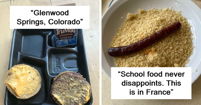 60 Pictures Of School Lunches That Shocked People In A Good Or Bad Way
