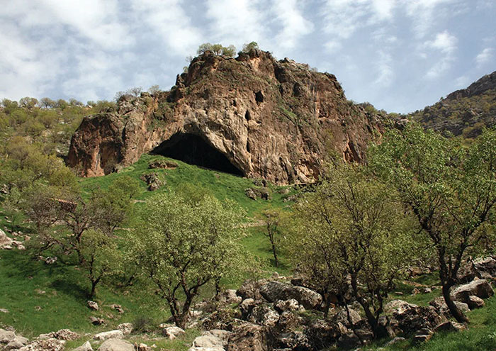 Meet Shanidar Z, A 40-Year-Old Neanderthal Woman Who Lived 75,000 Years Ago