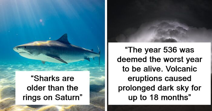 History Enthusiasts Are Sharing History Facts That Many People Would Find Shocking (50 Facts)