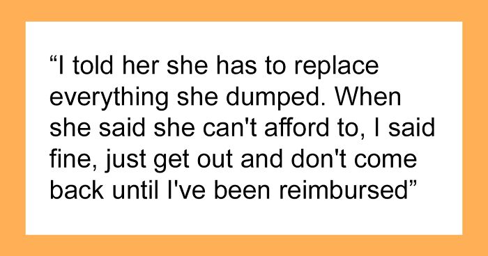 “AITA For Kicking SIL Out After She Threw Away Most Of My Single-Use Baby Products & Formula?”