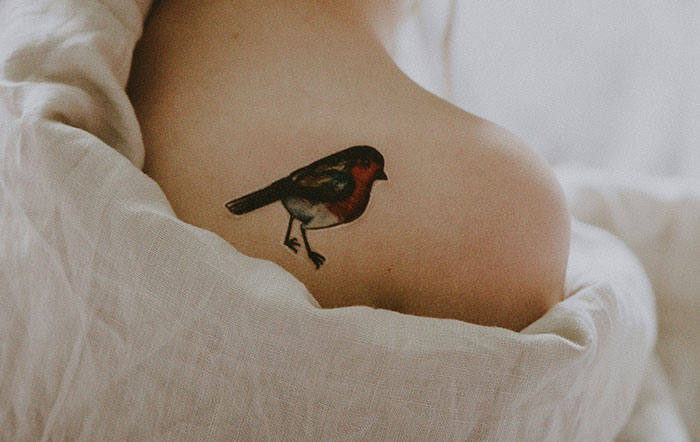 A bird tattoo on a person's shoulder, highlighting a study's link between tattoos and cancer. A bird tattoo on a person's shoulder, highlighting a study's link between tattoos and cancer.
