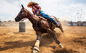 The Mind’s Eye: 50 Stunning Photos From The Winners Of All About Photo Awards 2024