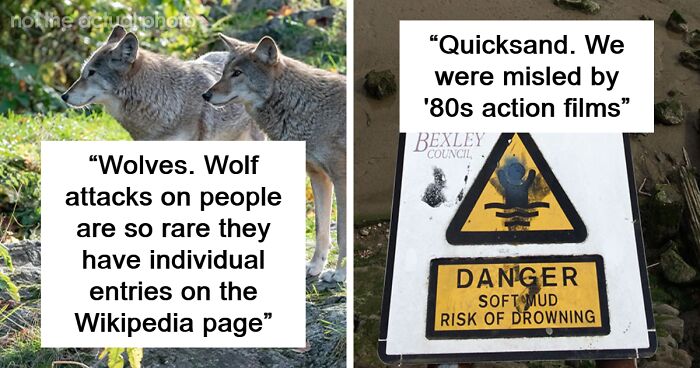 31 Things People Perceive As Dangerous That Are Actually Pretty Safe