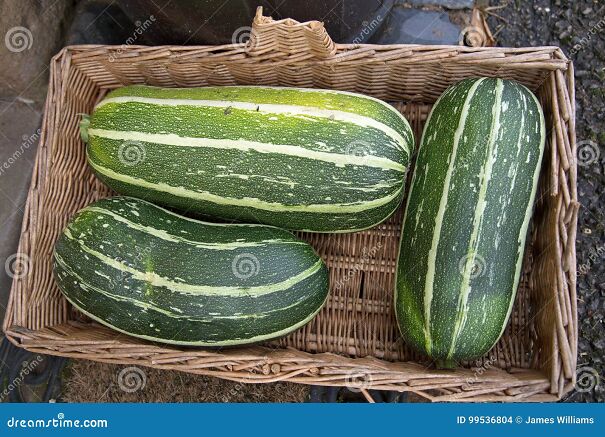 three-green-striped-vegetable-marrows-basket-doorstep-sale-honesty-box-basis-three-green-vegetable-marrows-99536804.jpg