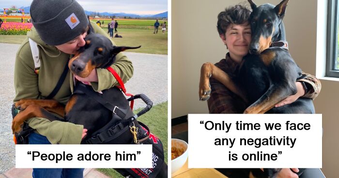 “He’s Scent-Trained To Alert”: 3-Year-Old Dobermann Tobias Improves Chronically Ill Owner’s Life