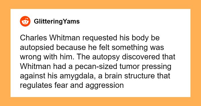 50 Curious “Today I Learned” Facts People Couldn’t Wait To Share (New Posts)