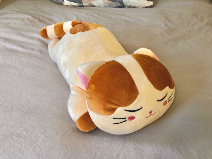 This Plush Pillow Truly Is The Cat’s Pajamas!