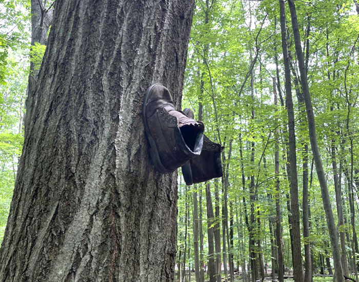 Went Geocaching And Found These Boots Nailed To A Tree