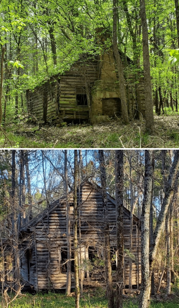 Randomly Found This Dilapidated Cabin In The Woods While Exploring