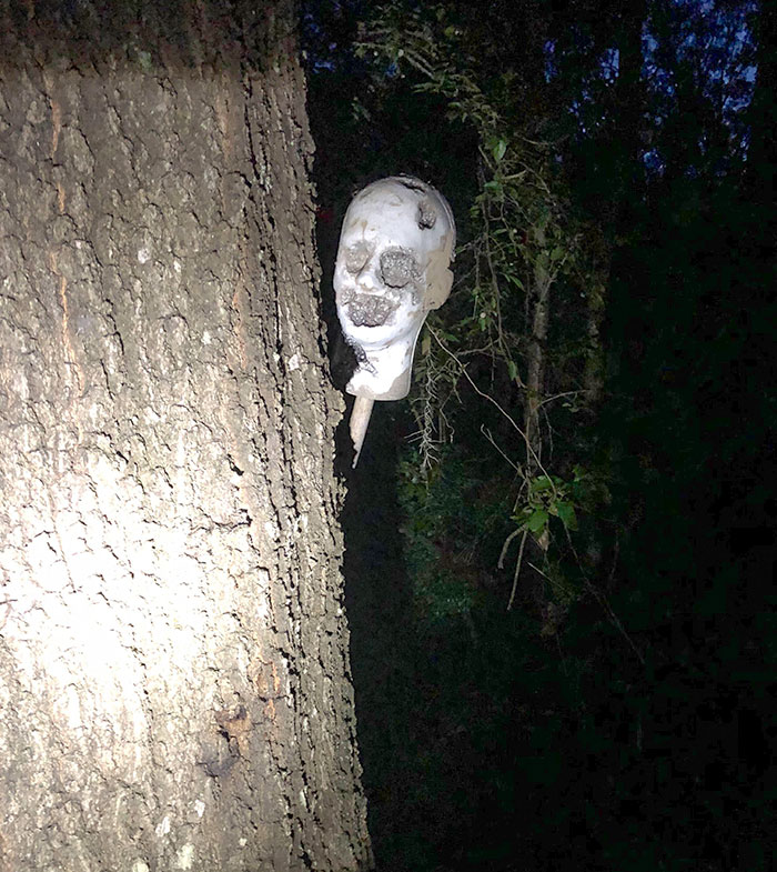 A Few Years Back Me And My Friends Found This Peeking Behind A Tree In The Woods Deep Behind A Friend’s House
