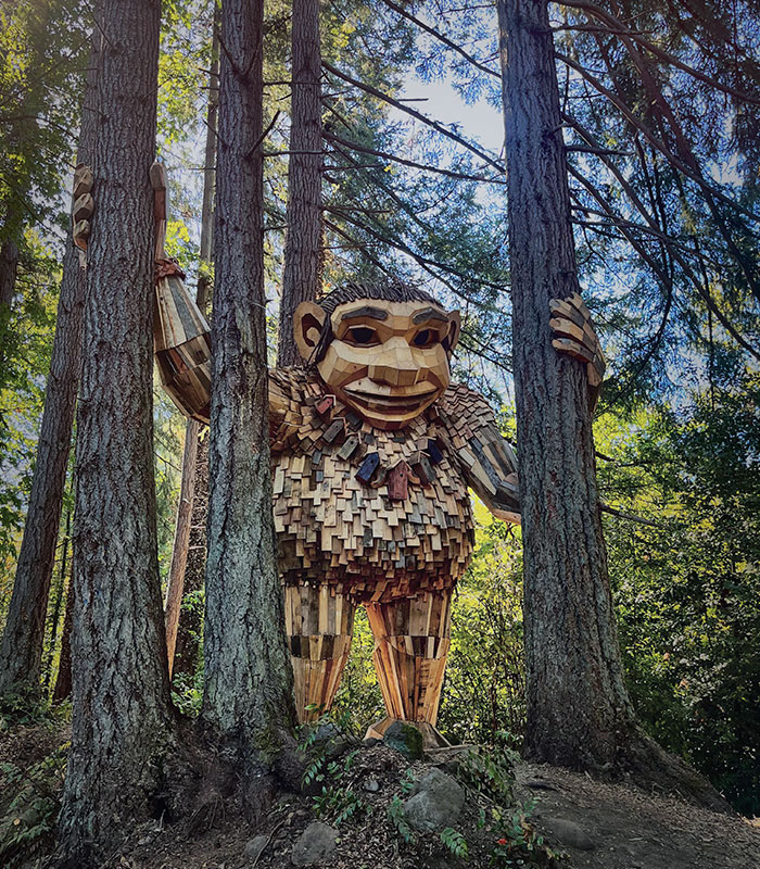 I Took A Picture Of A Forest Troll
