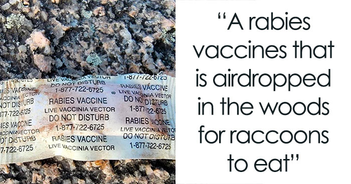 50 Of The Most Interesting And Bizarre Things People Have Found In The Forest (New Pics)