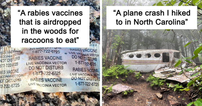 “Blair Witch Vibes”: 109 Wild And Unexpected Things People Found In The Forest (New Pics)