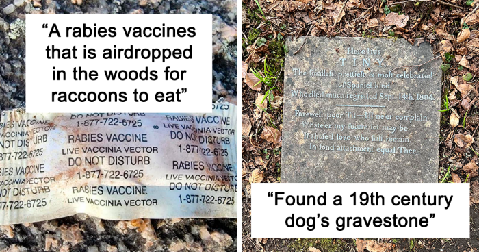 109 Times People Found Something Bizarre In The Woods And Just Had To Share