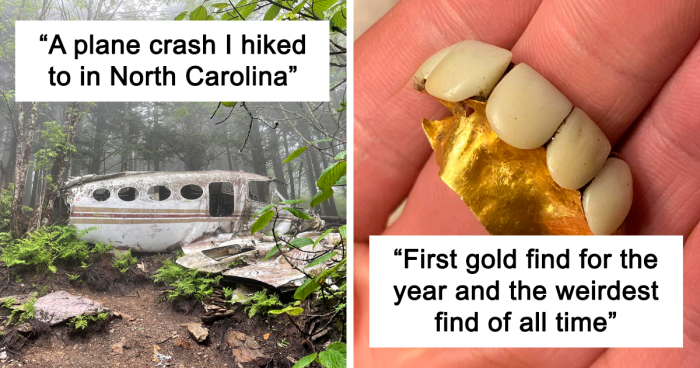 109 Times People Found Something Bizarre And Interesting In The Woods And Just Had To Share