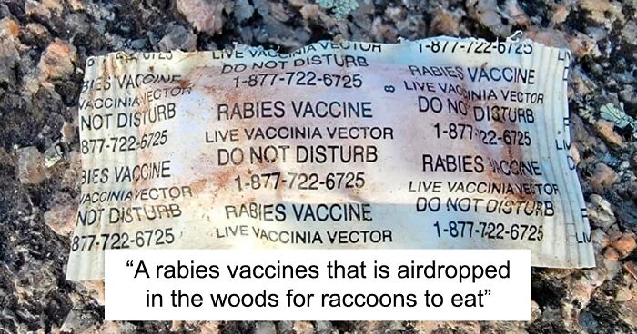 109 Of The Most Interesting And Bizarre Things People Have Found In The Forest (New Pics)