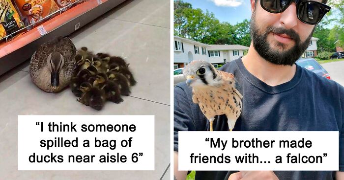These People Had Heartwarming Wildlife Encounters And Had To Share Them Online (131 New Pics)