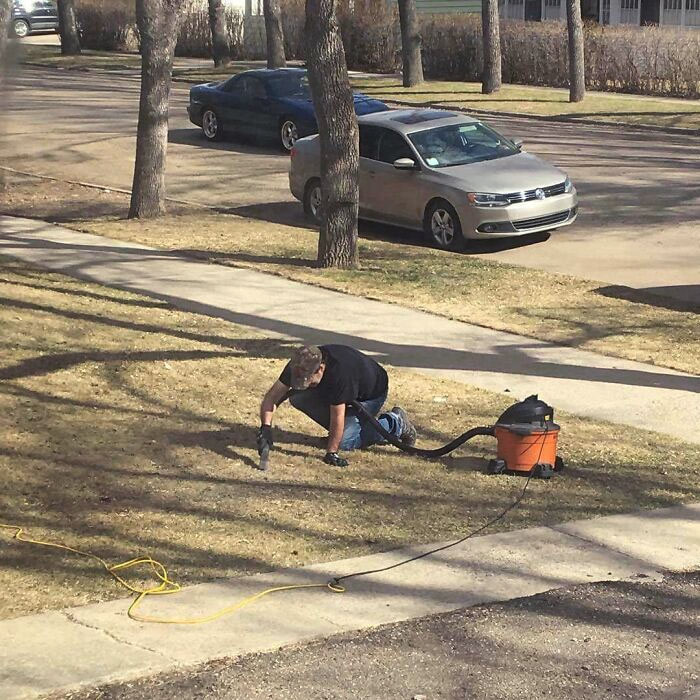 My Neighbor Is Vacuuming His Grass