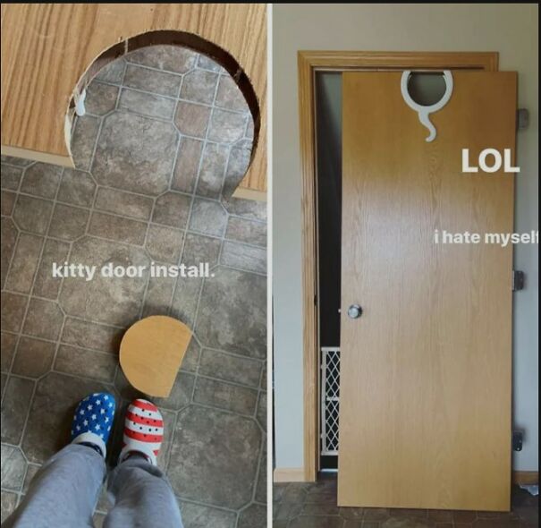 upside-down-cat-door-6632addc24aa2.jpg