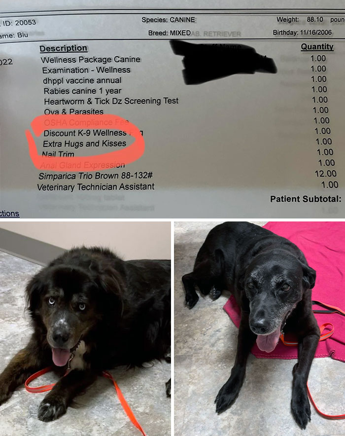 Pups Had A Vet Appointment, Just Noticed This Line Item
