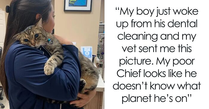 80 Hilarious And Wholesome Moments That Vets Have Experienced While Working (New Pics)