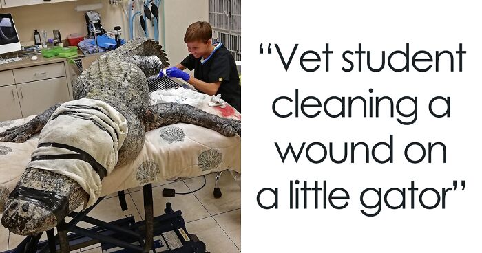 80 Wholesome And Hilarious Moments From Veterinary Clinics (New Pics)